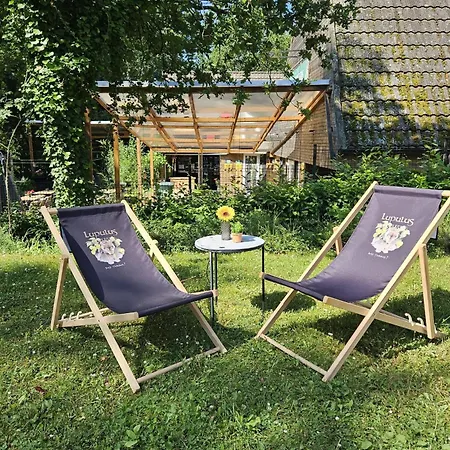 Chalet Boshuis Bonbon - In