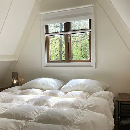 Шале Boshuis Bonbon - In *